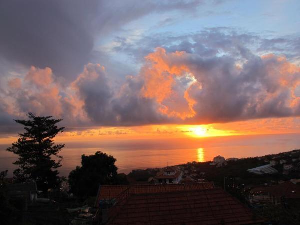 Madeira House Villa Calheta  Room photo